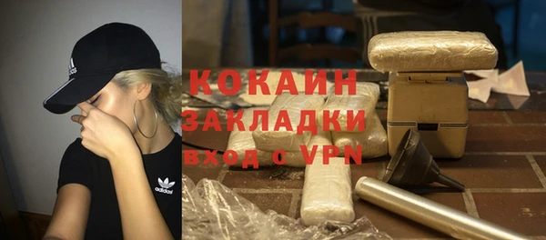 гидра Абаза