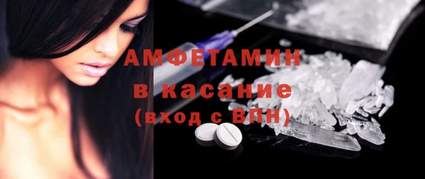 гидра Абаза
