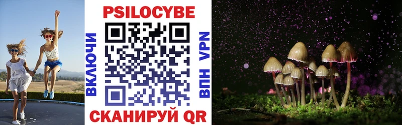 Галлюциногенные грибы Cubensis Адыгейск